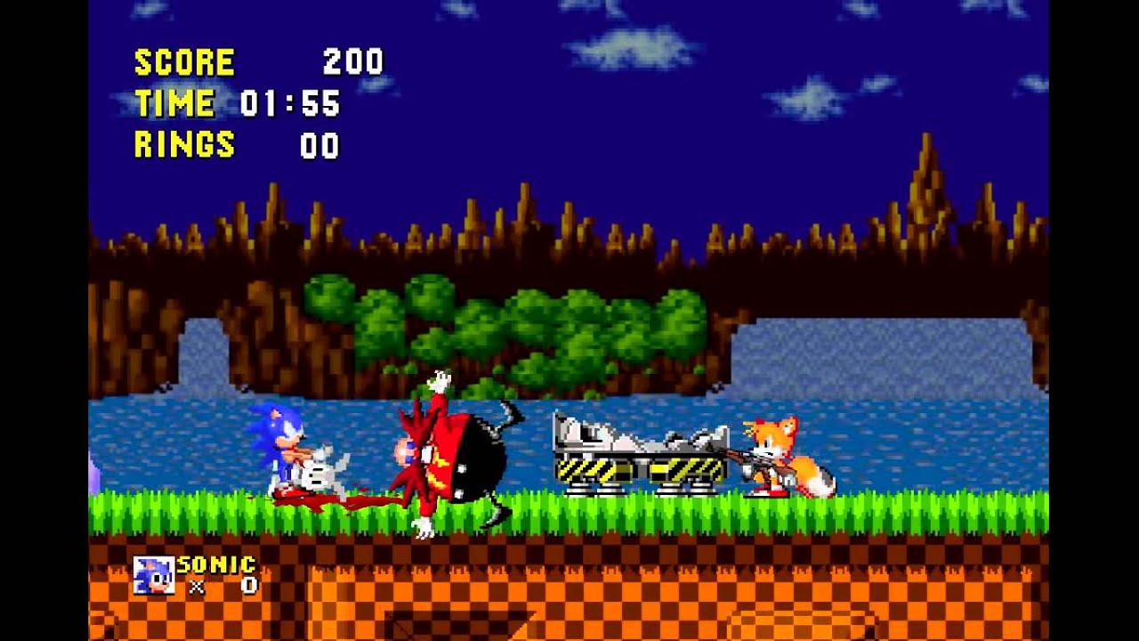 Sonic The Zombie (The Walking DEADHOG w/my video Added!)