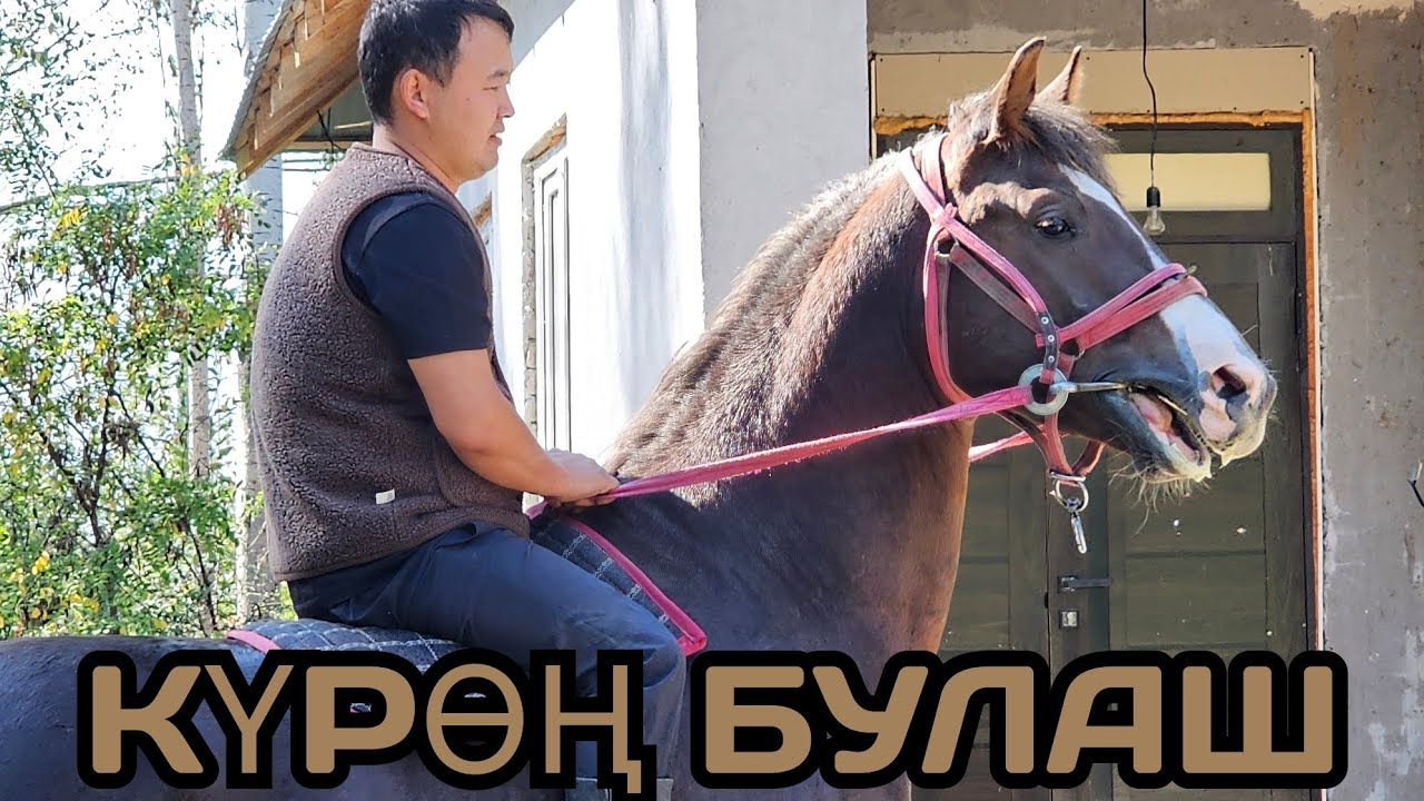 САТЫЛДЫ ЧАЛМАЙ ЖОК