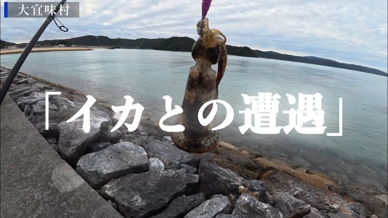 広大な護岸でエギングを楽しんできた「難易度MAX！？冬のアオリイカ攻略」