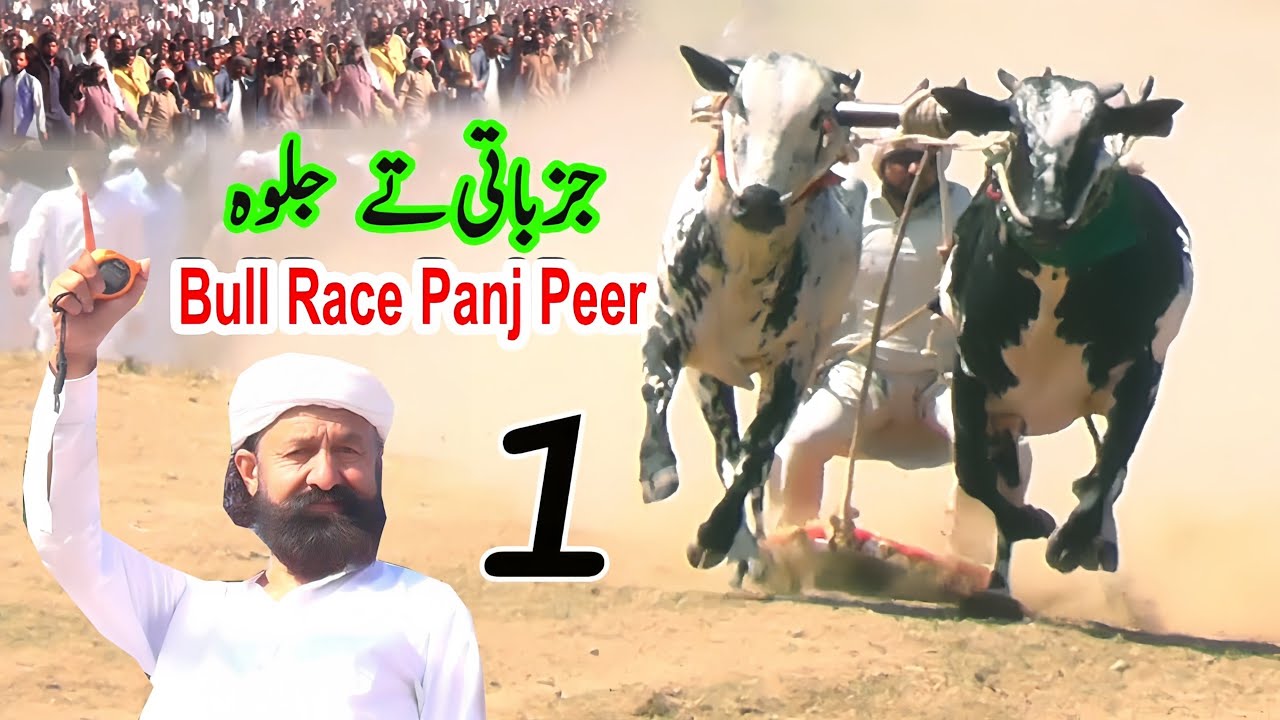Bull Race Panj Peer | Fatehjangi Bulls | Pakistan Best Racers Bulls