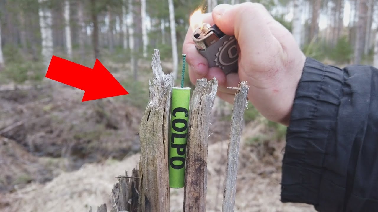 EXPERIMENT: Firecrackers VS Old Tree 🔥
