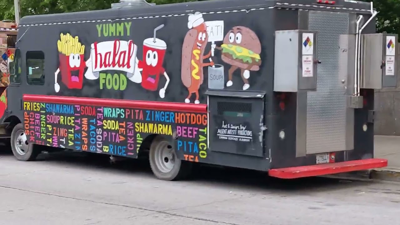 Halal Food Truck 🚛 Millennium Park Chicago Downtown