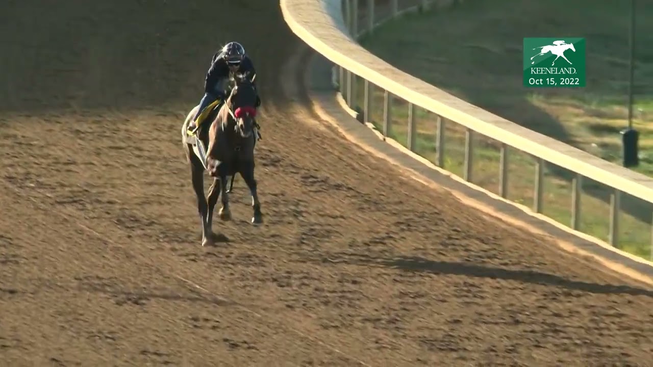 Hot Rod Charlie Works at Keeneland, Oct. 15, 2022