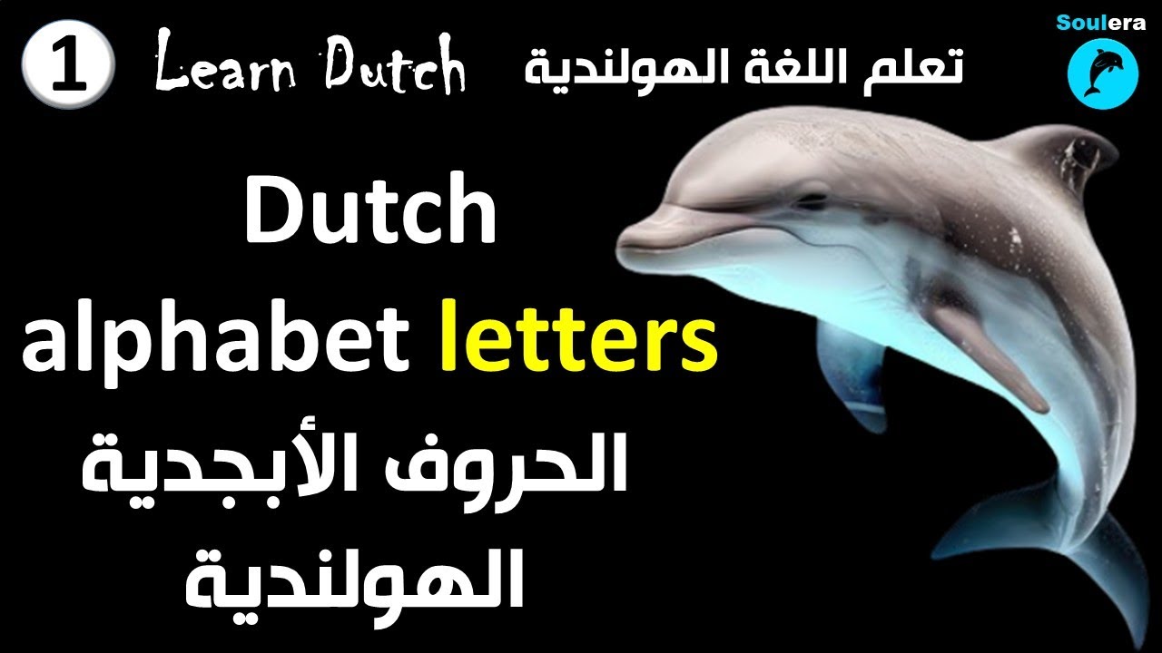 د1- خطوة 1: الحروف الأبجدية الهولندية 🐬