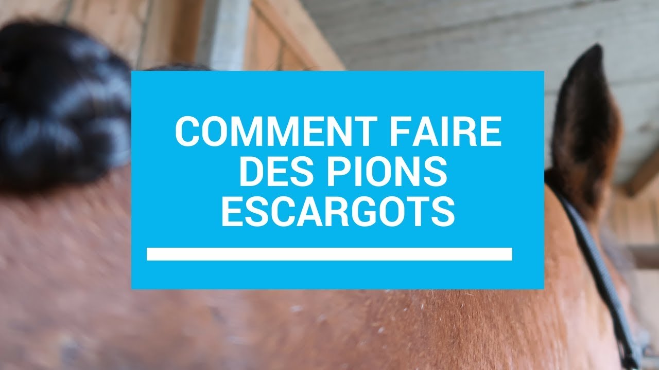 Comment faire des pions escargots?