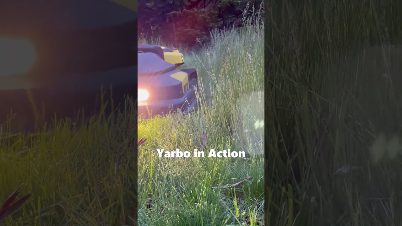Yarbo Lawn Mower M1: Watch Yarbo tackle this wild jungle of a yard! #Yarbo #Landscaping #lawnmower