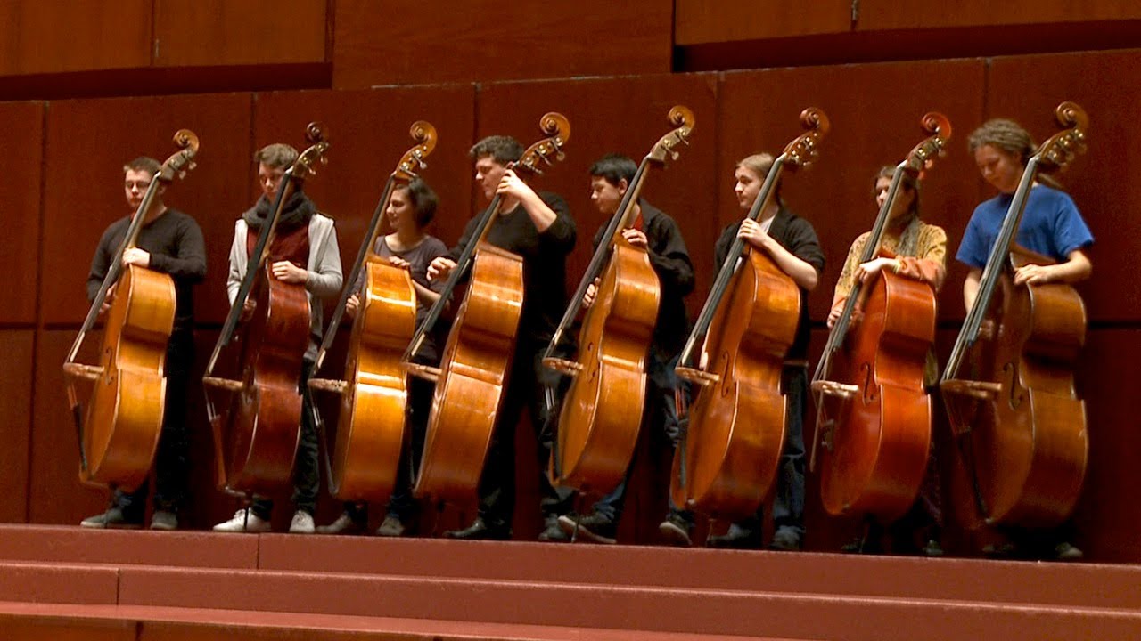 Die Deutsche Streicherphilharmonie -- 40 Jahre junge Spitzenklasse