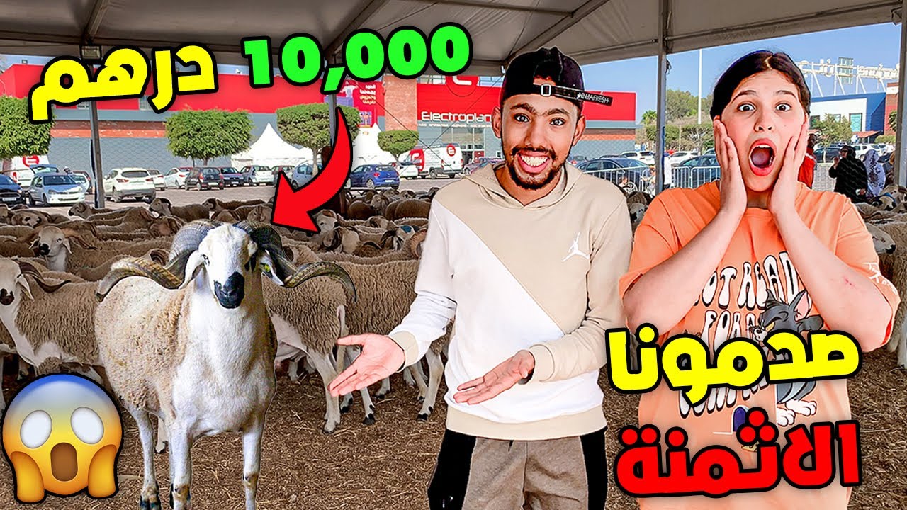أخيرا رحلة البحت عن خروف العيد🐏خديجة صدمها حيت غالي...💔😲