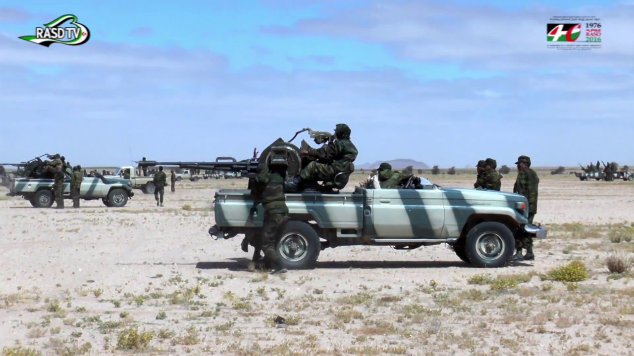 Ejército saharaui continúan con las maniobra militares en las zonas liberadas. sahara occidental