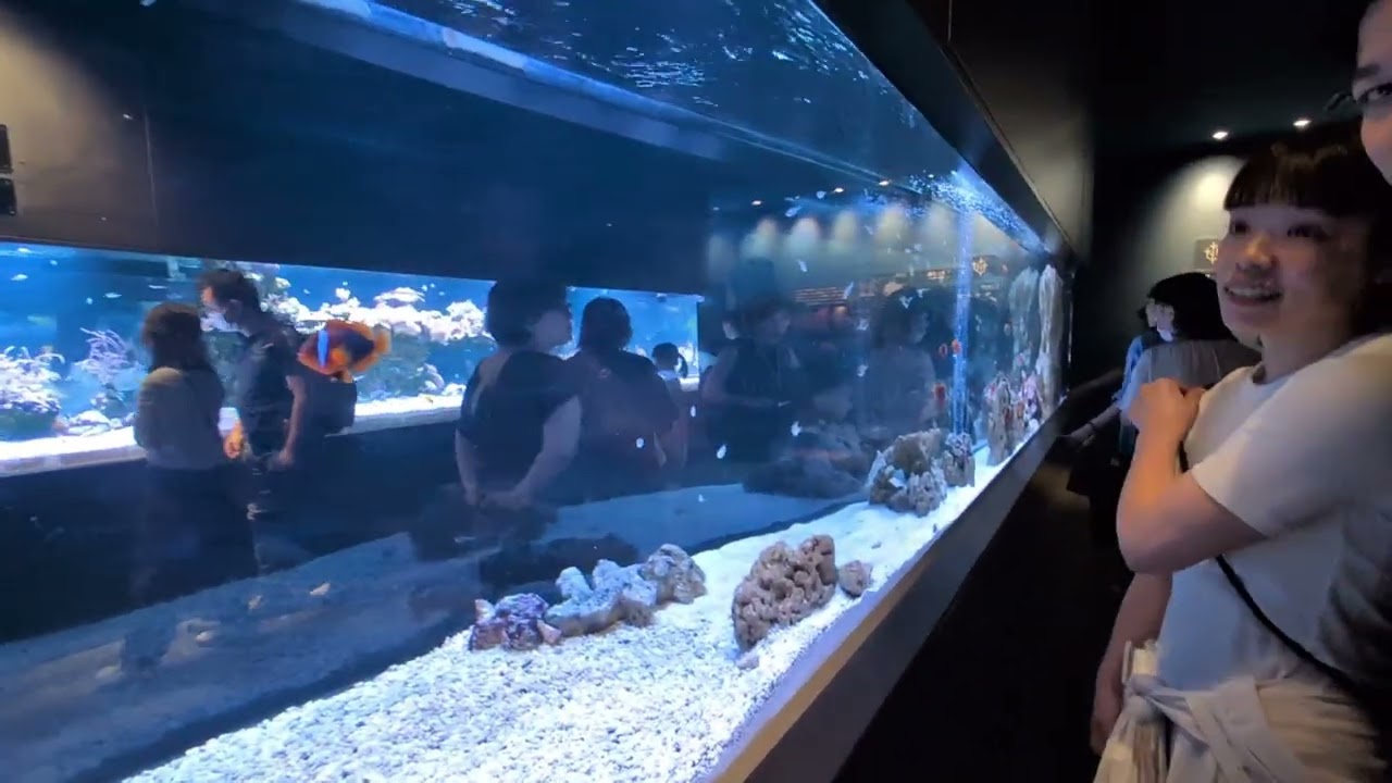Japan🇯🇵 series : Sumida Aquarium: A Relaxing Underwater World in Tokyo Skytree Town