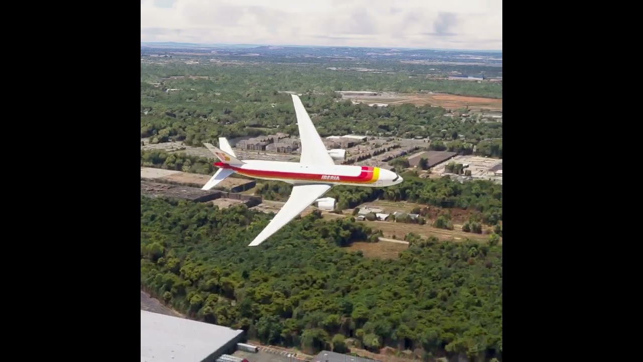 the pilot's actions endangered the plane's passengers EP297