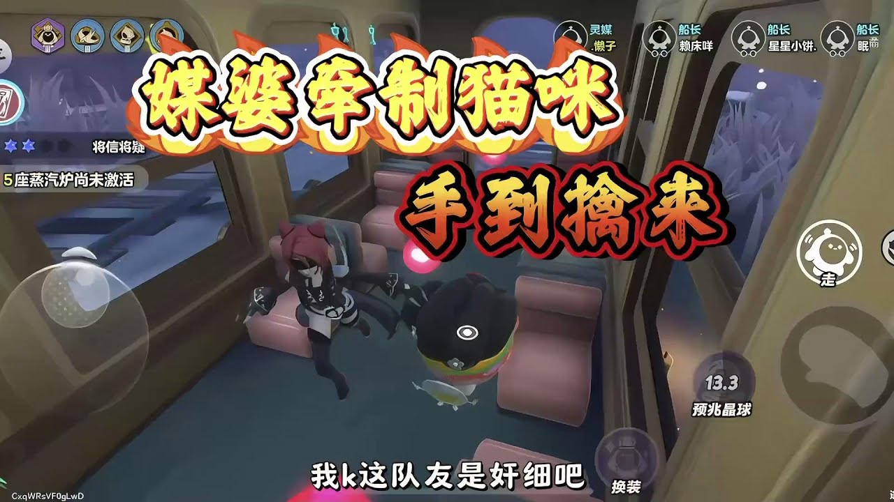 跟着媒婆一起教你遛爆小猫咪！
