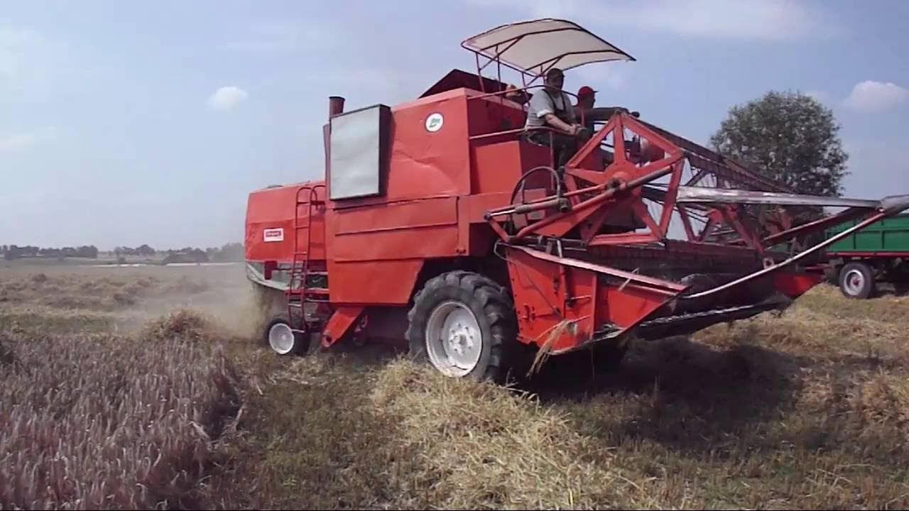Żniwa 2016 | Bizon Z040 | John Deere 3650 | Mtz 82