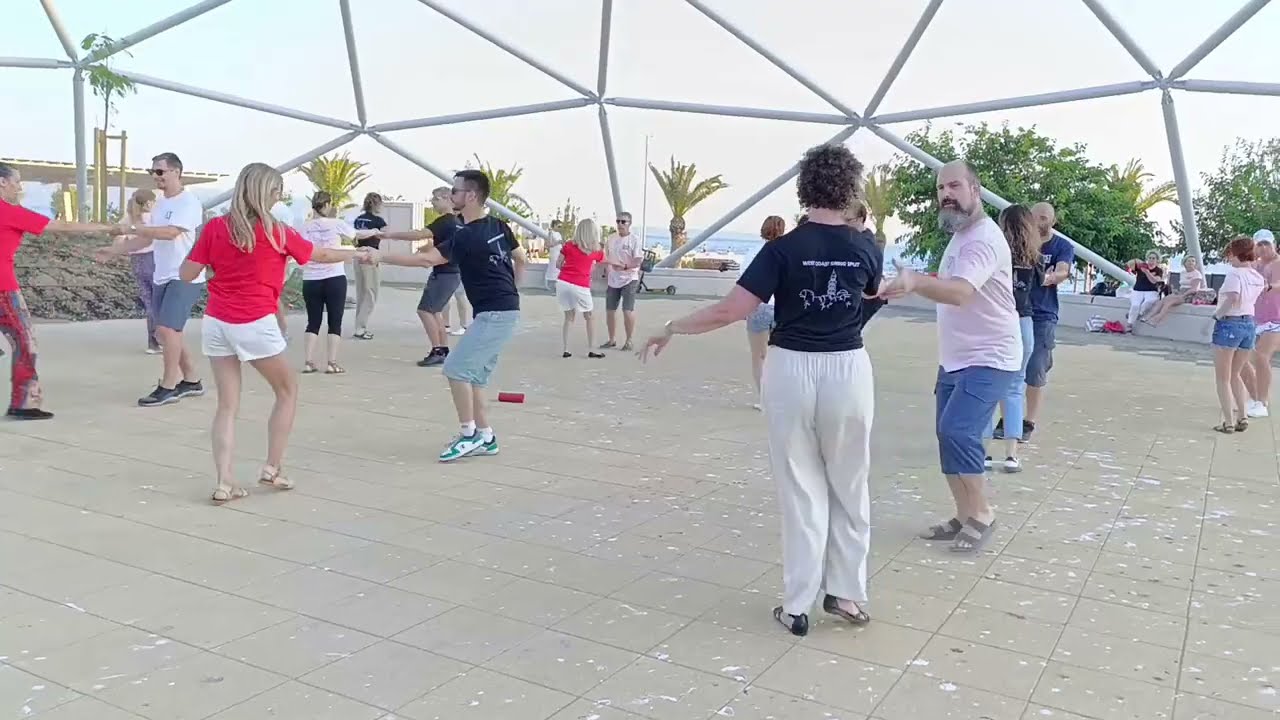 WCS Flashmob - Split - 2025