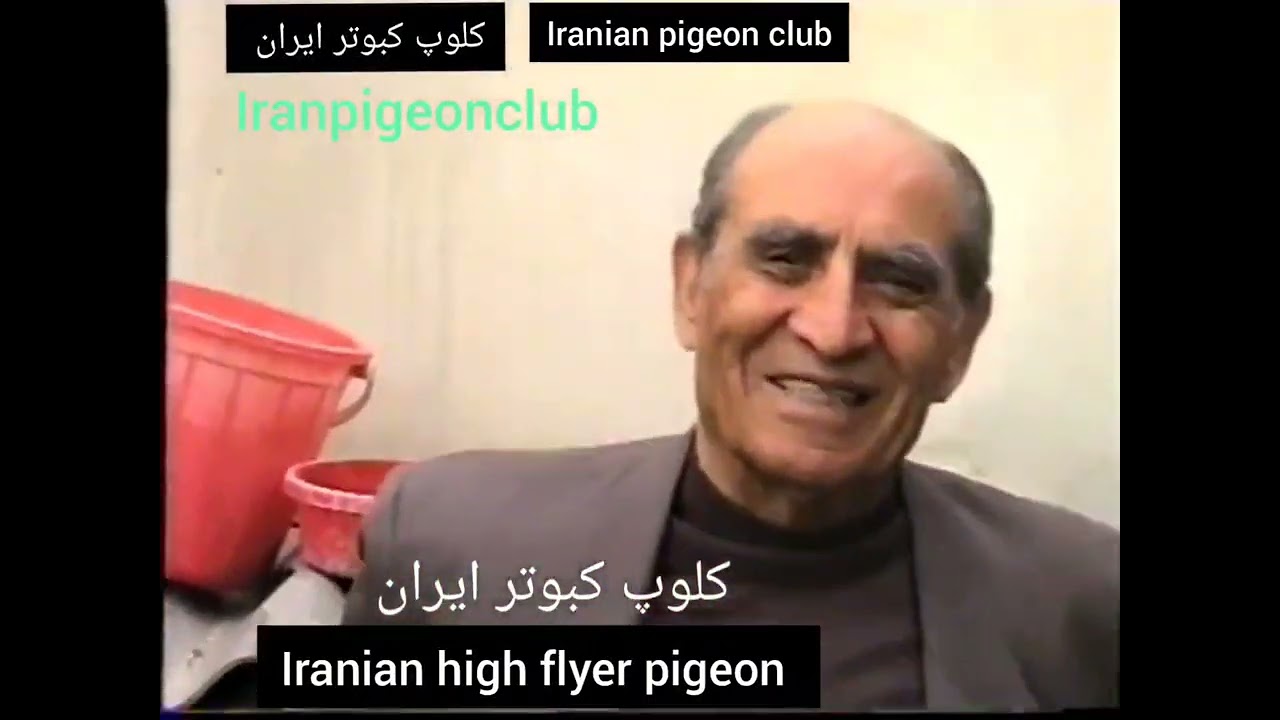 ❤️سال2003کبوترای آقای سیداحمد میری با حضور اقای محسن رهبری original Iranian high flyers pigeon