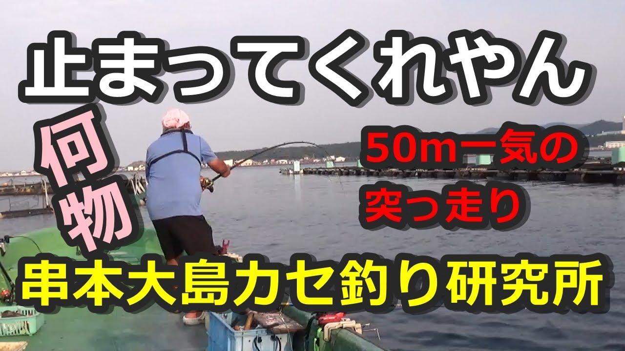 オバケに遭遇！串本カセ・イワシエサのフカセ釣り