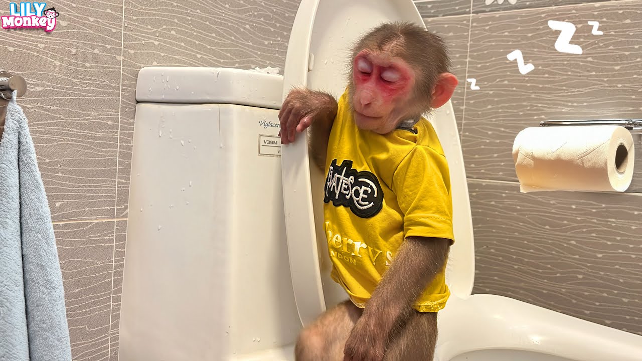 So funny! Lily fell asleep while going to the toilet