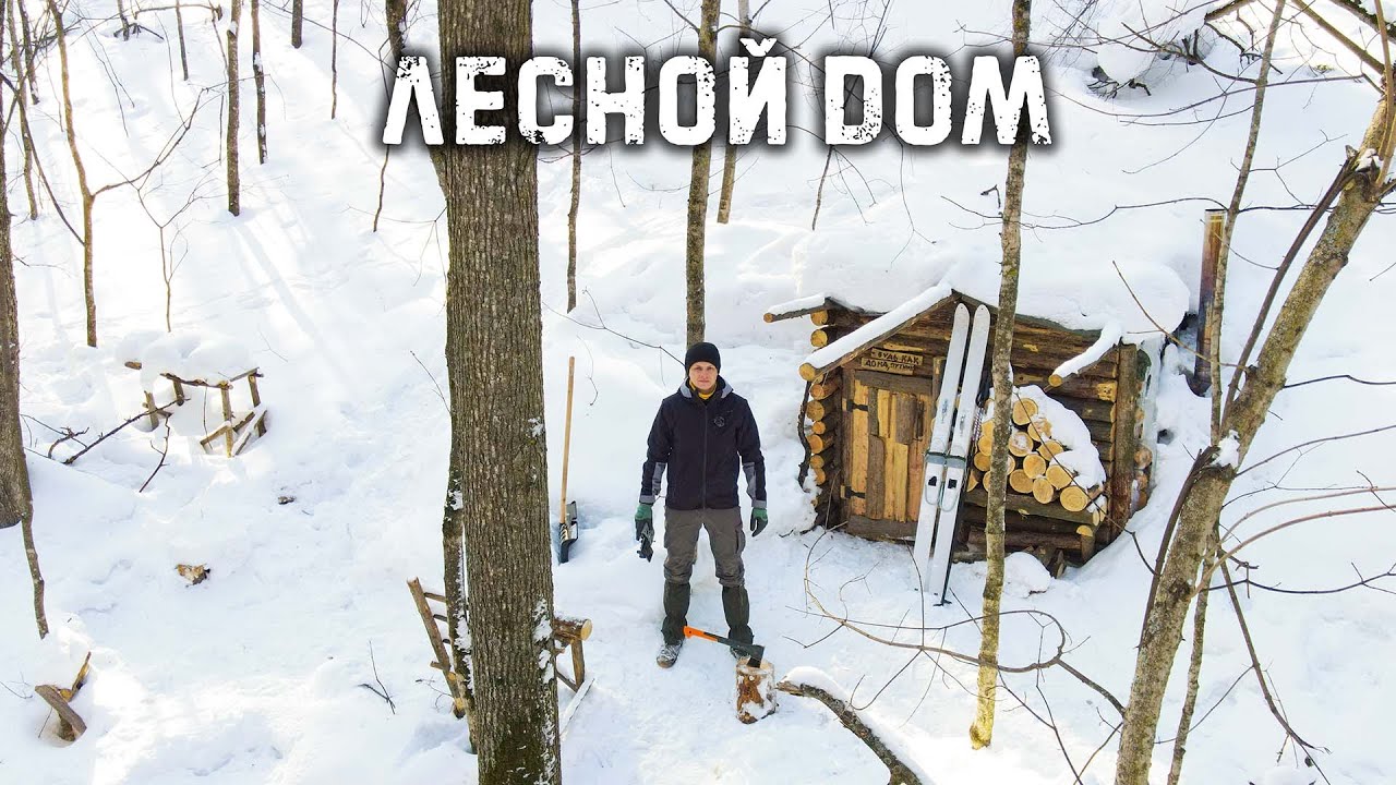 Возвращение в ЛЕСНОЙ ДОМ | НЕЗВАНЫЕ ГОСТИ наследили у ЗЕМЛЯНКИ | Переделал ОКНО