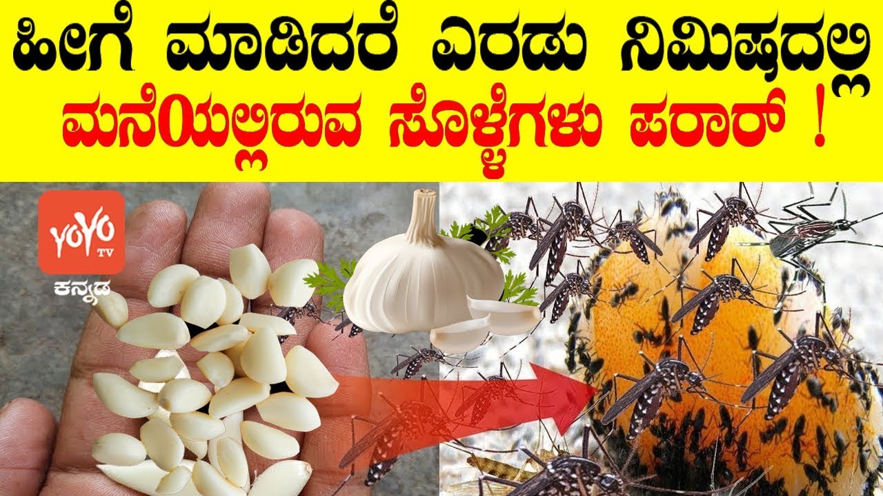 Natural Mosquito Repellent For House In Kannada  ಎರಡು ನಿಮಿಷದಲ್ಲಿ ಮನೆಯಲ್ಲಿರುವ ಸೊಳ್ಳೆಗಳು ಪರಾರ್ !!