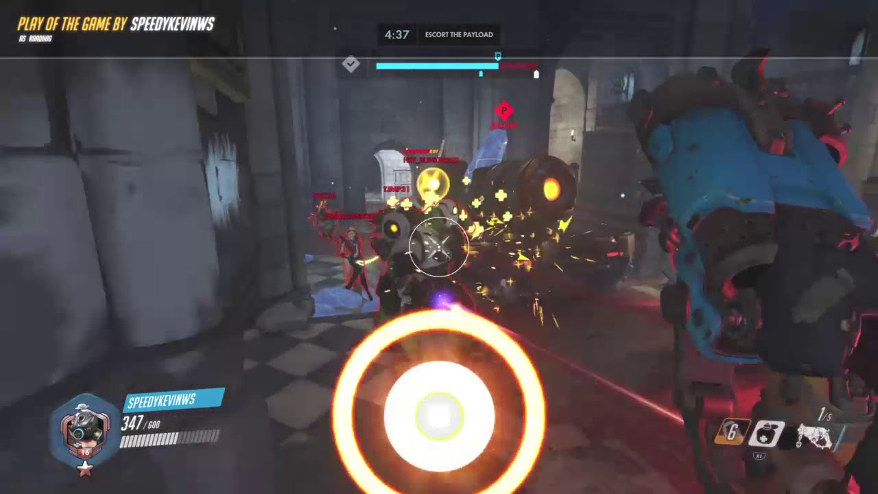 Shatter + Whole Hog