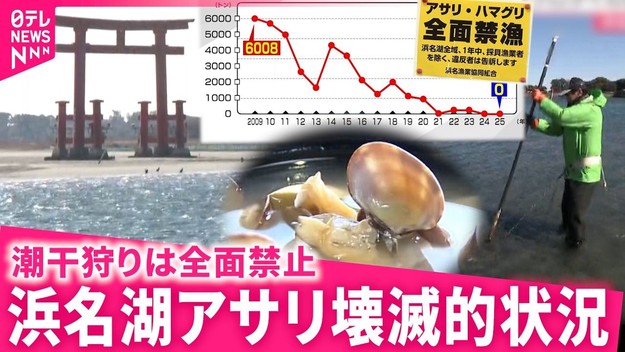 【もはや絶滅寸前】潮干狩りは8年連続中止 浜名湖アサリの現状と回復への取り組み　静岡　NNNセレクション