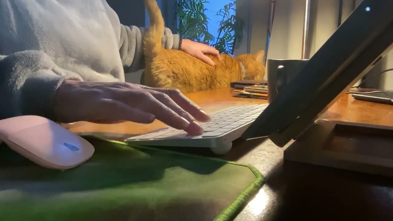 2 sessions back to back, with cat, real life, no music