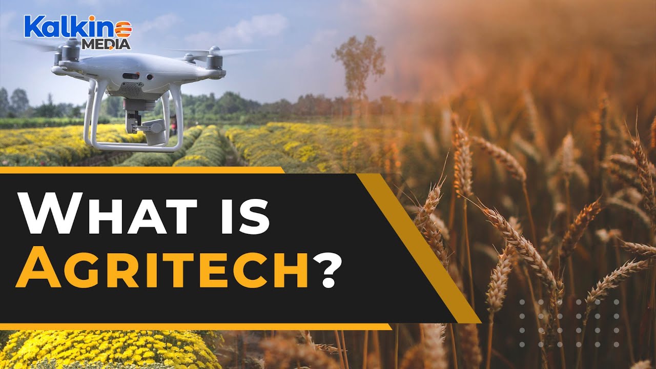 Czym jest Agritech?