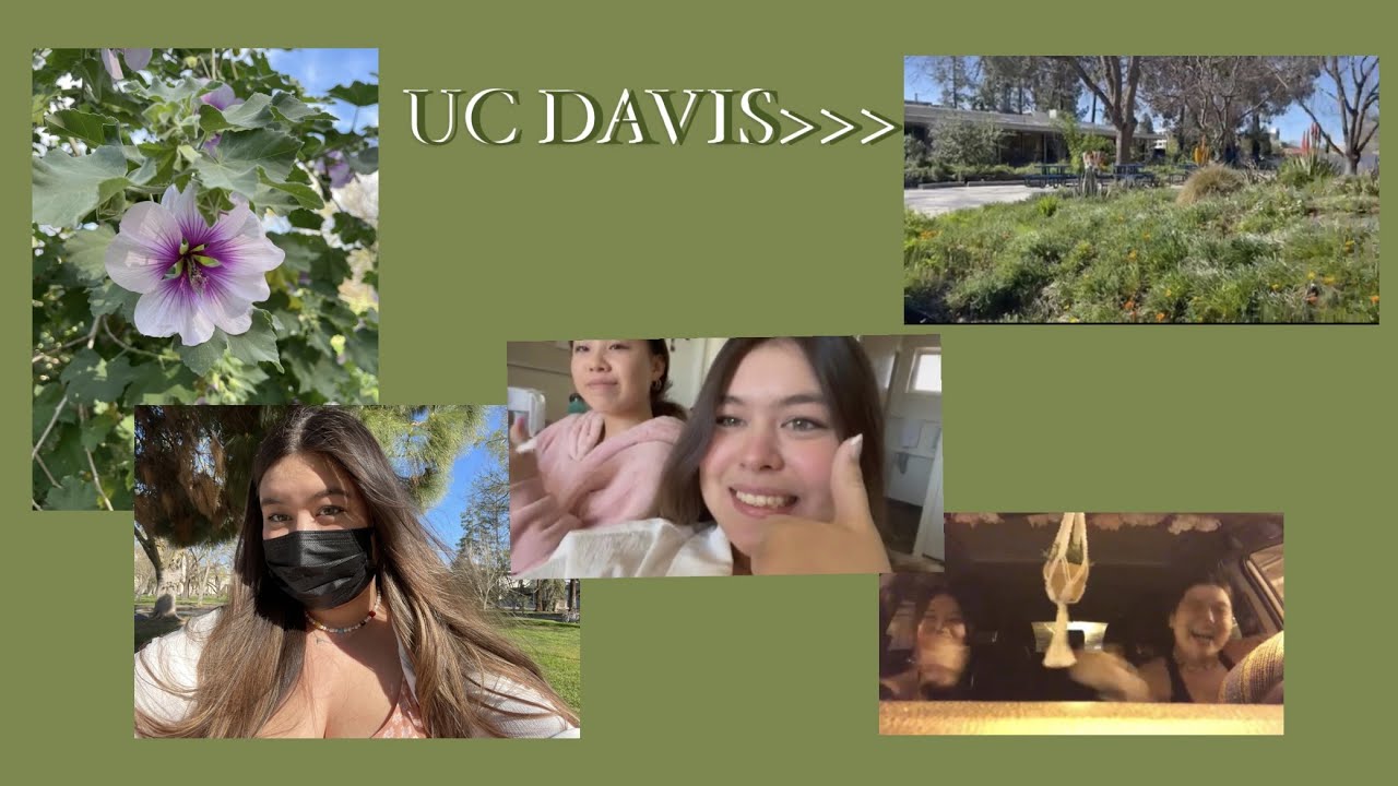 day in the life as a uc davis student