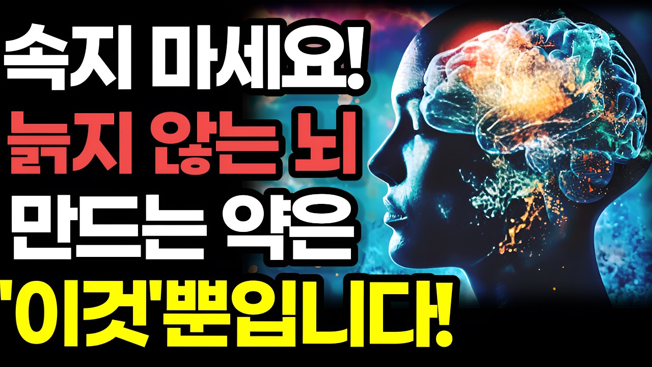 '노벨상 사관학교' 독일 막스플랑크 연구소 신경과학자가 알려주는 늙지 않는 뇌를 만드는 핵심 원리 / 유럽 최고의 뇌과학자 마누엘라 마케도니아 『당신의 뇌는 지금 뛰고 있는가』