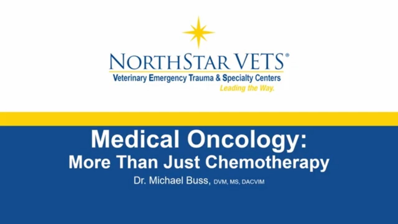 Veterinary Oncology Innovations: Exploring New Treatments with Dr. Michael Buss