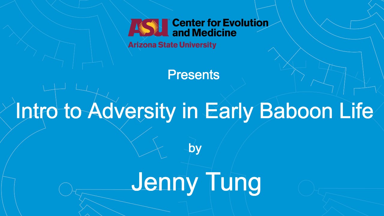 Intro to Adversity in Early Baboon Life | Jenny Tung