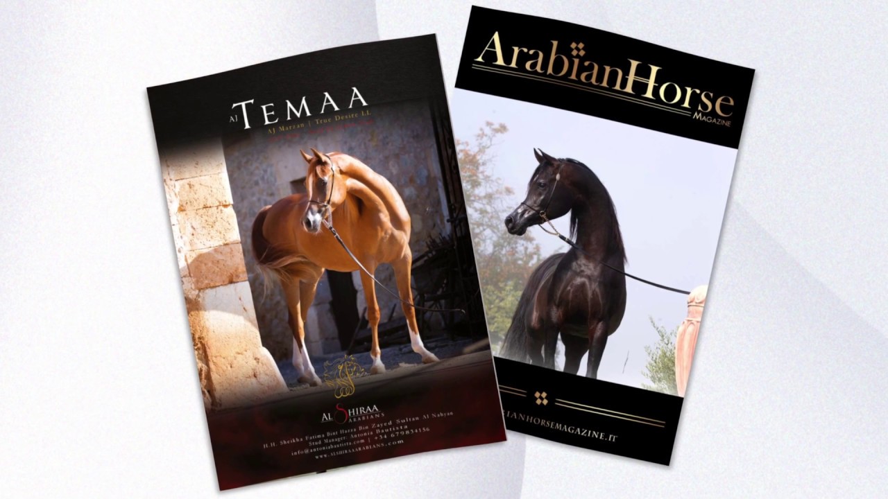 Arabian Horse Magazine | N1_2019 - Dubai Issue