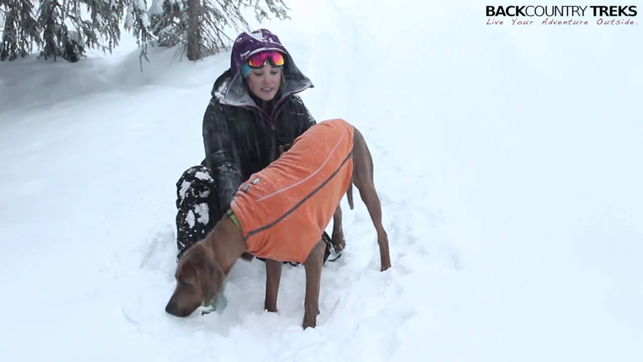 Your Dog Needs to Stay Warm Too: The Climate Changer by Ruffwear [Review]
