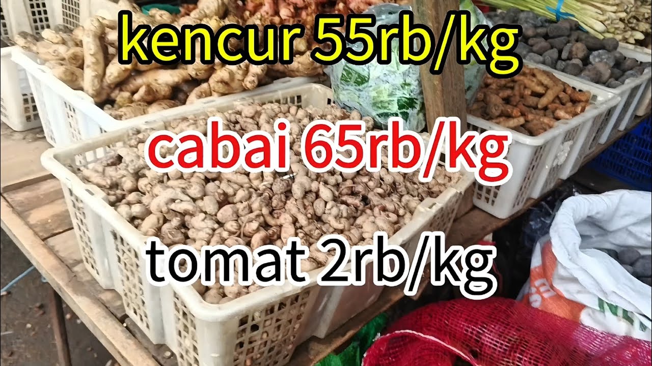 update terbaru harga sayur pasar induk grosir ngronggo kota kediri