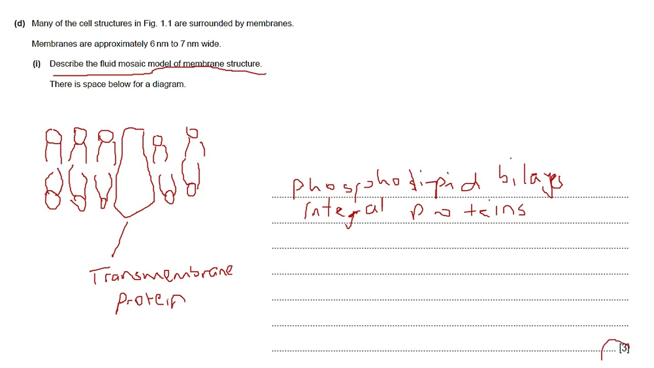 Solutions to 2022 specimen paper 2