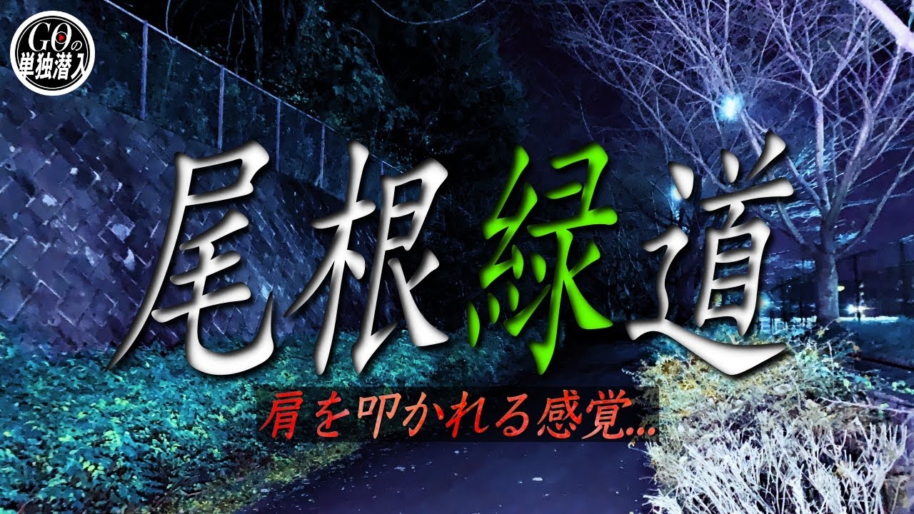 謎の無数の白い手が目撃されている「尾根緑道」に単独潜入！