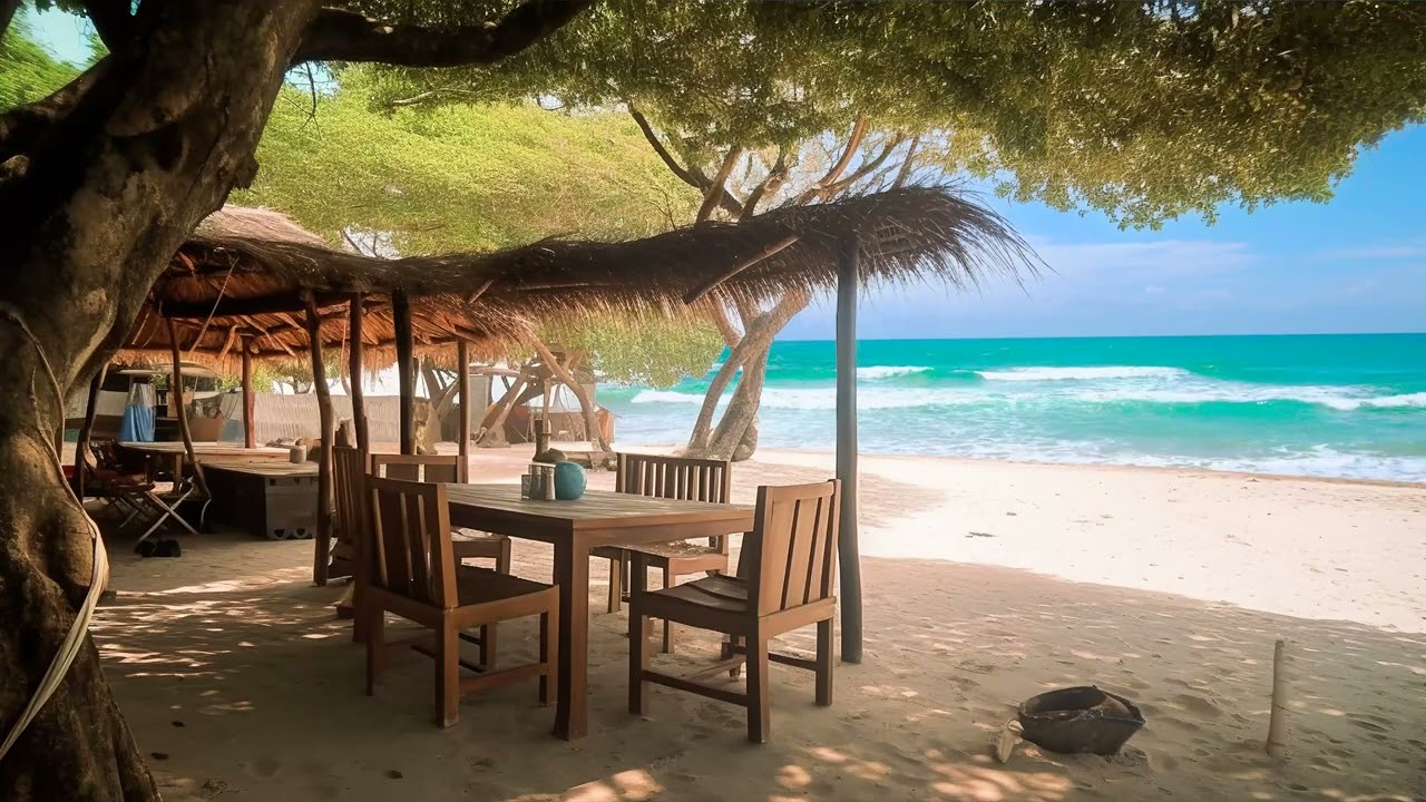 Beach Seaside Ambience with Ocean Sounds for Relaxation, Sleep and Stress Relief