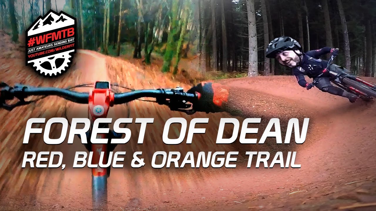 Forest of Dean Mountain Bike Trail - Hitting the Blue, Red and Countdown / Launchpad DH MTB
