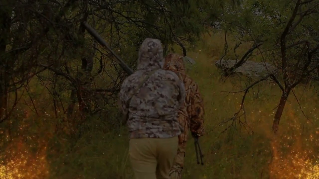 Highveld safaris