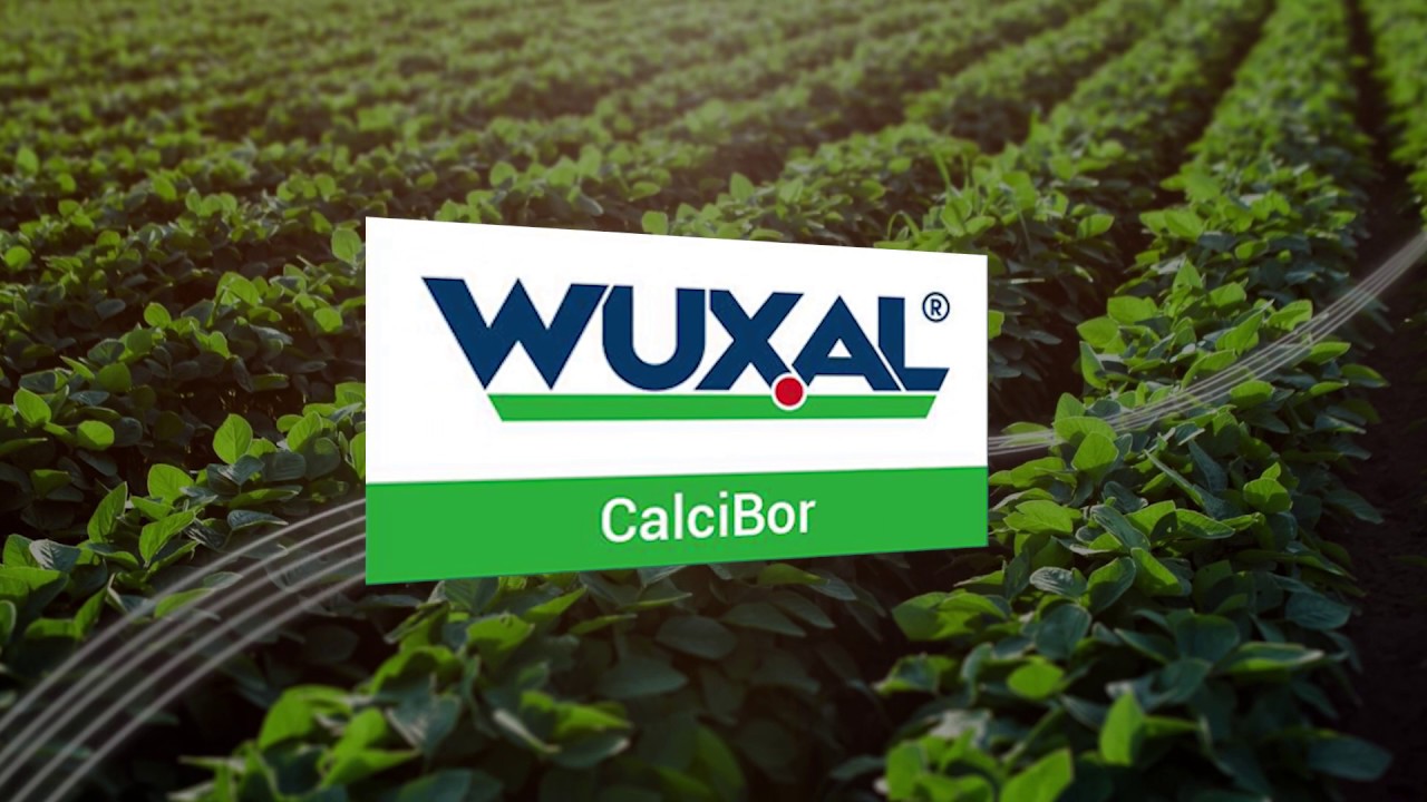 Beneficios de WUXAL Calcibor