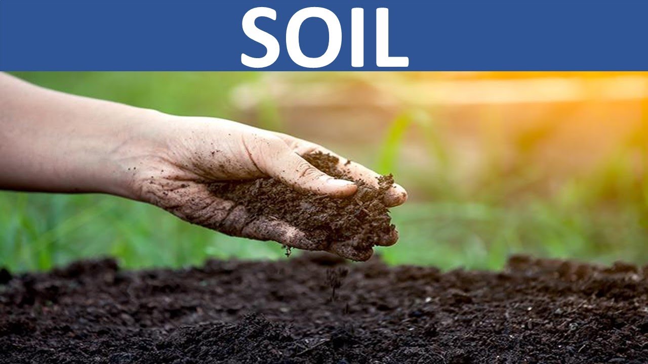 SOIL | FORMATION OF SOIL | TYPES OF SOIL | COMPOSITION OF SOIL | SOIL PROFILE | SOIL CONSERVATION