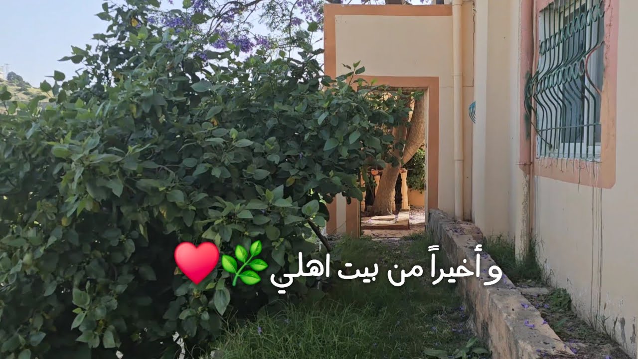و أخيراً اهلي😭🏡، يا كل الحب🫂🌿