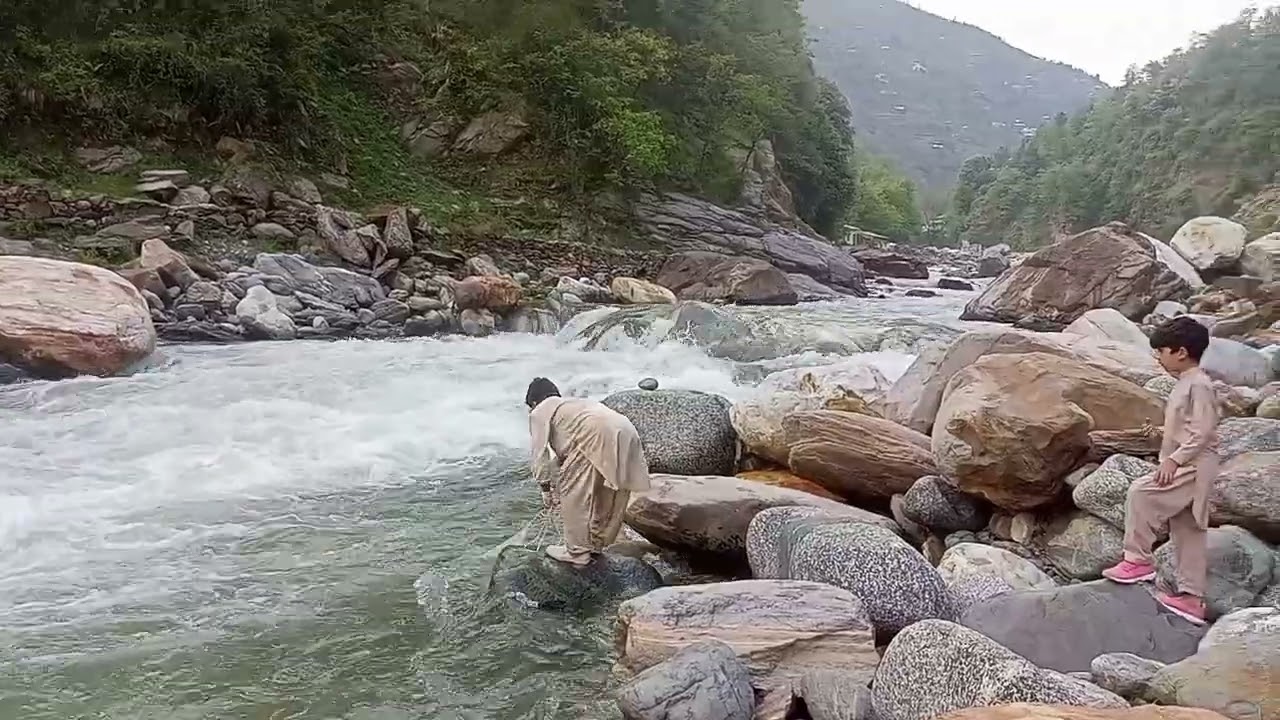 So Disappointing! The Fish Escaped Right in Front of Me While Casting the Net -