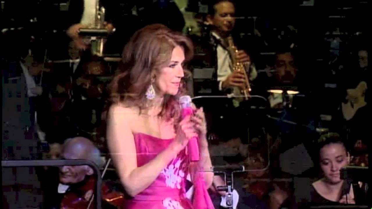 Perdón - Guadalupe Pineda - Auditorio Nacional