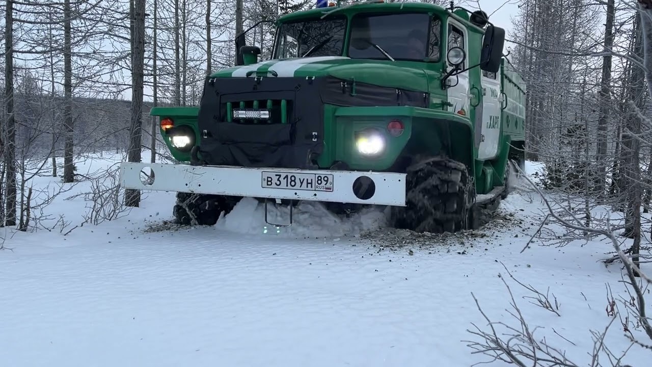 Цепи. Дорога в лес. (Часть 1) 01 декабря 2024 год.