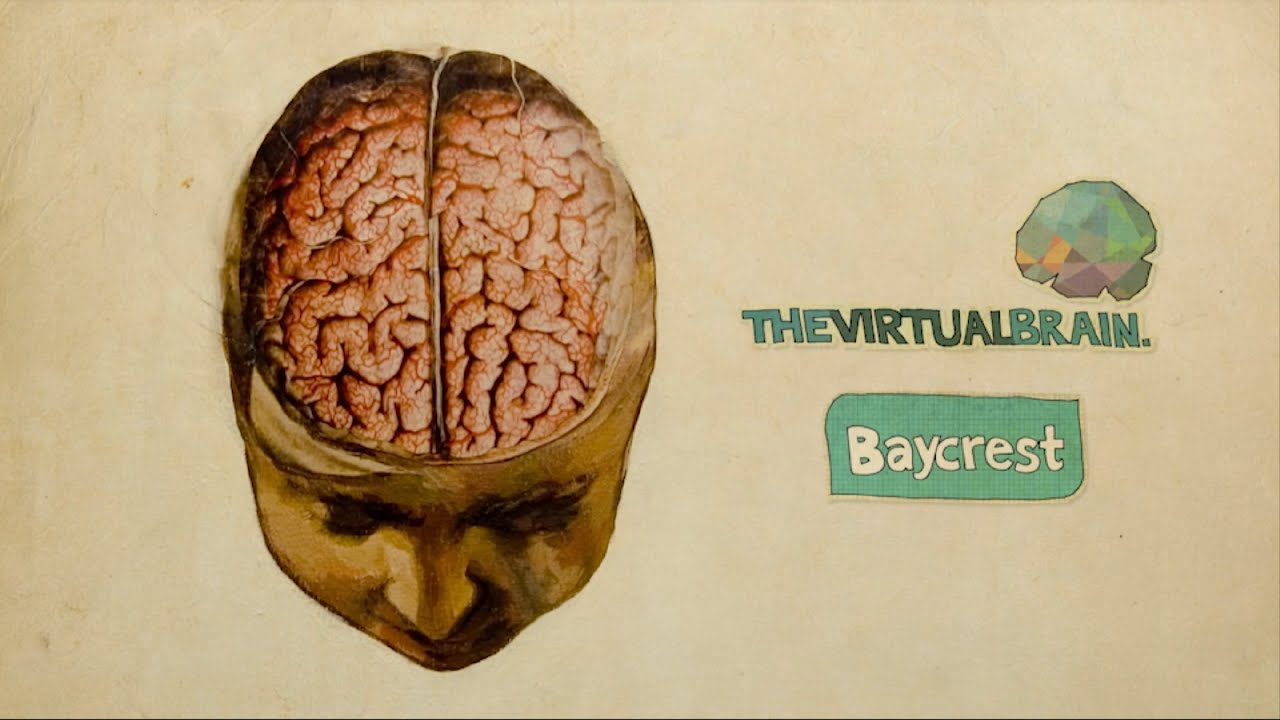The Virtual Brain - Explainer Video [updated]