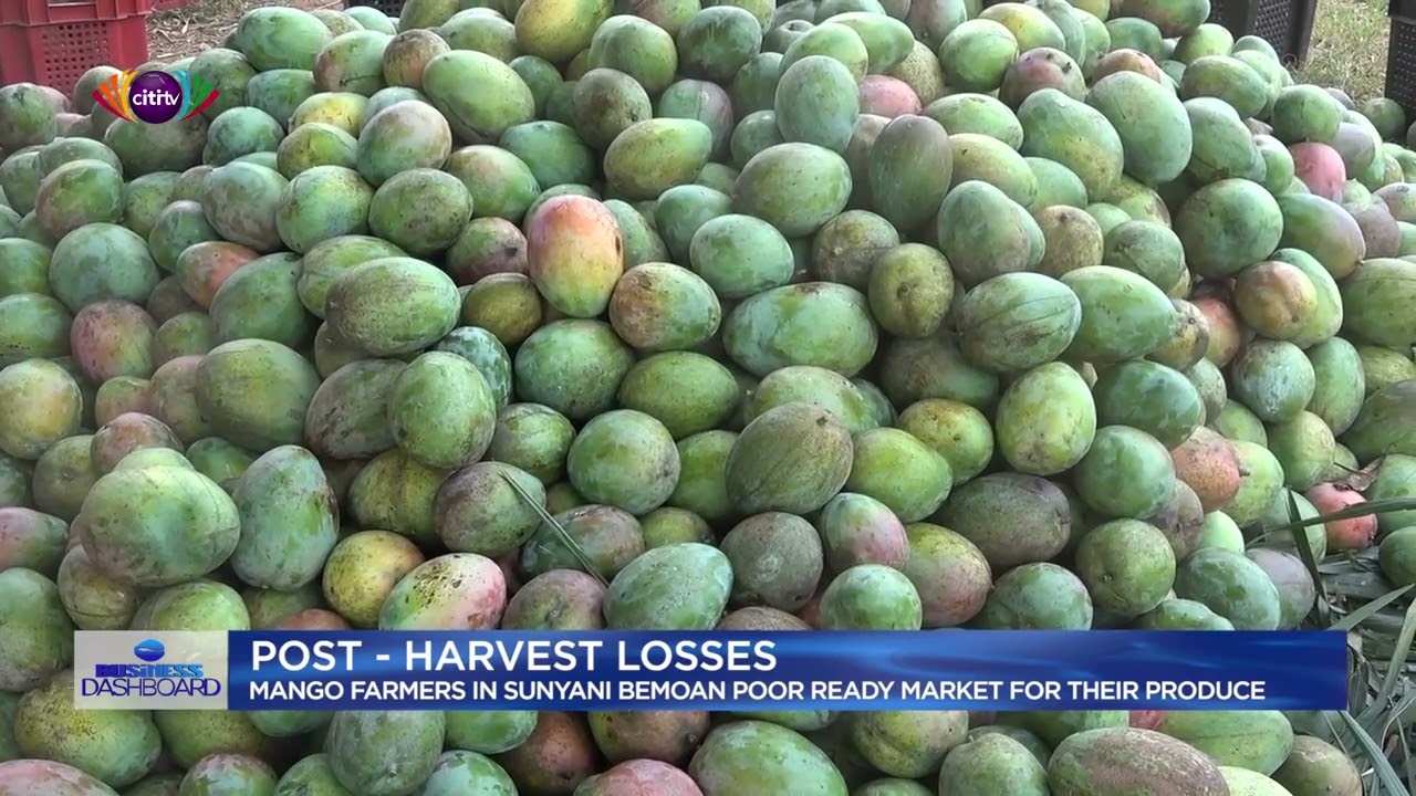 Postharvest losses among mango farmers in Bono and Bono East regions of Ghana