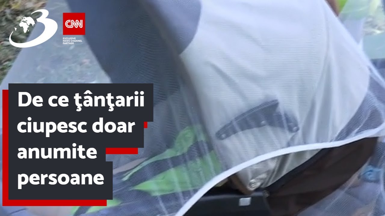 De ce ţânţarii ciupesc doar anumite persoane. Explicaţia dr. Tudor Ciuhodaru