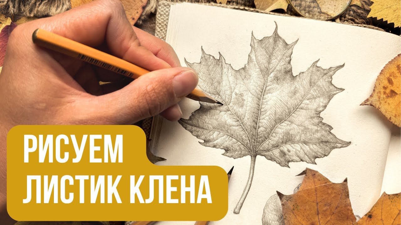 Как ЛЕГКО нарисовать РЕАЛИСТИЧНЫЙ Кленовый Лист Карандашом ✏️ Урок для Новичков | ОСЕННИЙ РЕЛАКС ☕