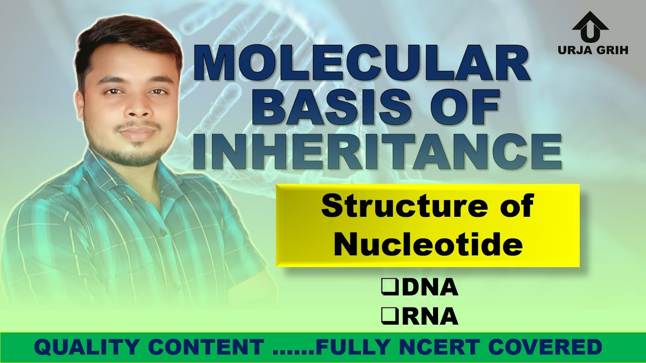Structure of Nucleotides | Molecular Basis of Inheritance | Biology #neet #iitjam  #urjagrih